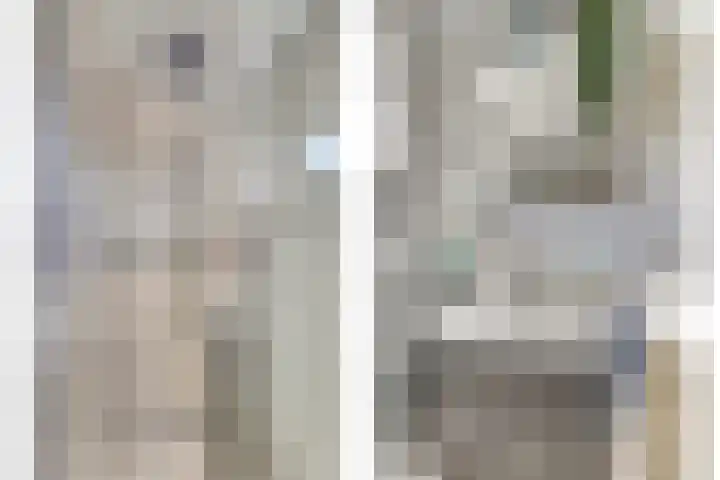 Bleijenburg 120 De Lier thumbnail 6