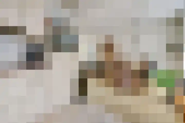 Bleijenburg 124 De Lier thumbnail 11