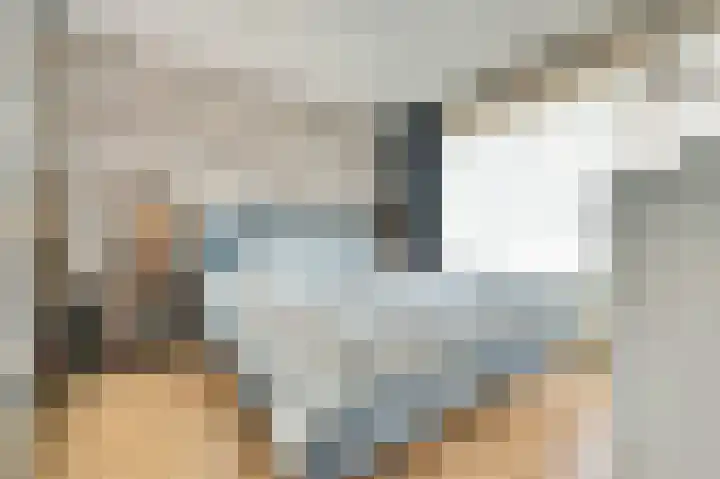 Bleijenburg 124 De Lier thumbnail 15