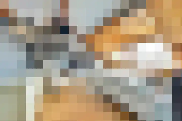 Bleijenburg 124 De Lier thumbnail 23