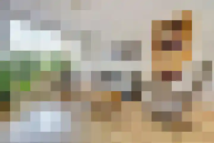 Bleijenburg 124 De Lier thumbnail 4