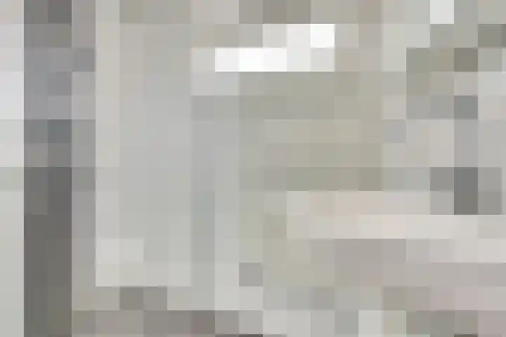 Bleijenburg 124 De Lier thumbnail 6