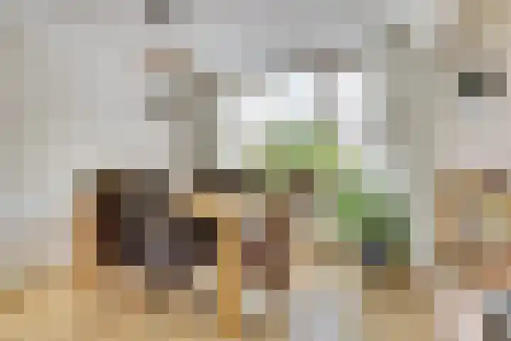 Bleijenburg 124 De Lier thumbnail 9