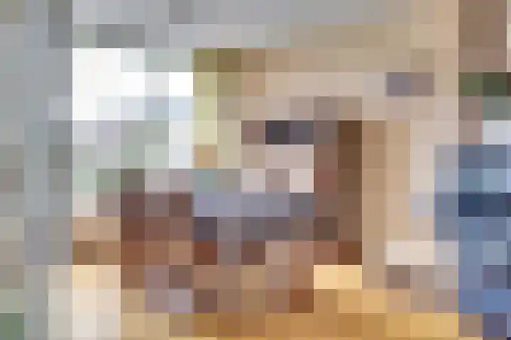 Bleijenburg 156 De Lier thumbnail 10