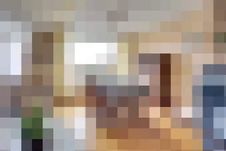 Bleijenburg 156 De Lier thumbnail 11