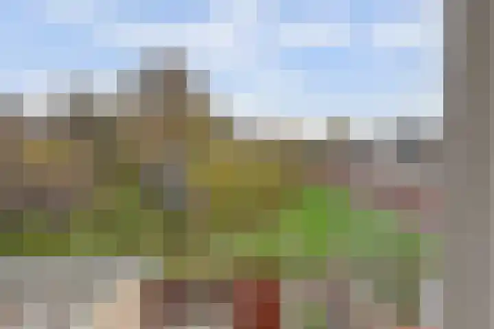 Bleijenburg 156 De Lier thumbnail 29