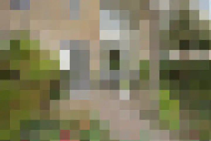 Bleijenburg 156 De Lier thumbnail 6