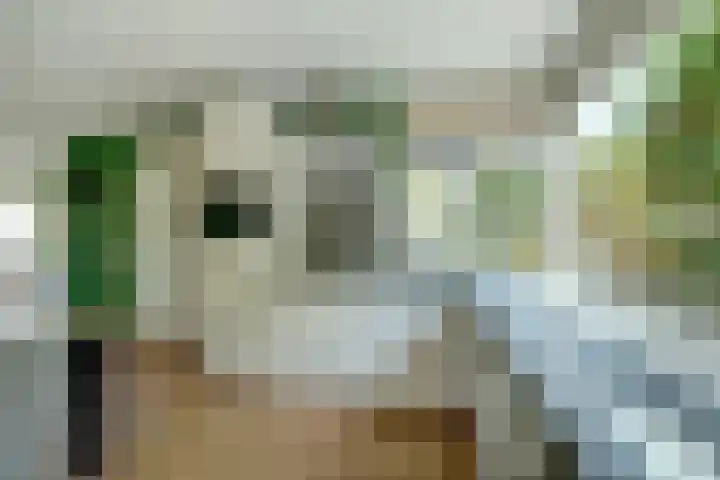 Bleijenburg 170 De Lier thumbnail 13
