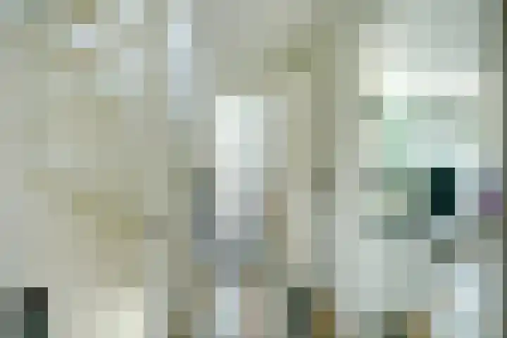 Bleijenburg 170 De Lier thumbnail 18