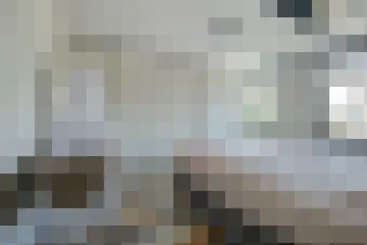 Bleijenburg 170 De Lier thumbnail 19
