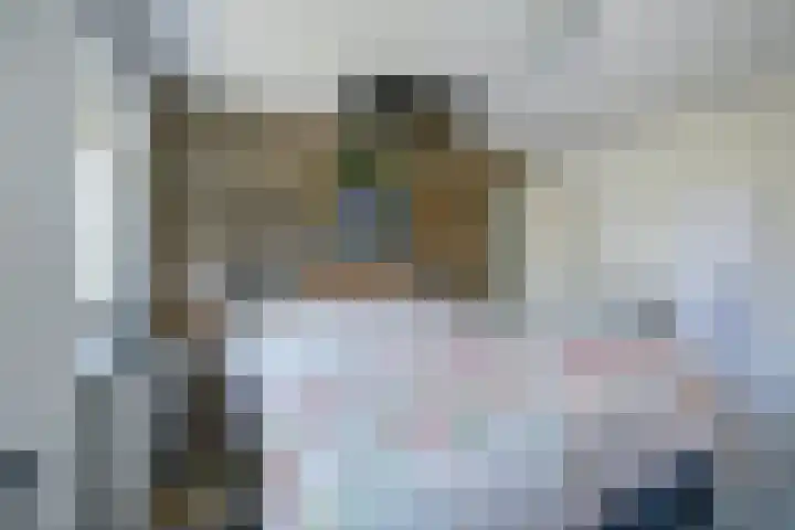 Bleijenburg 170 De Lier thumbnail 20