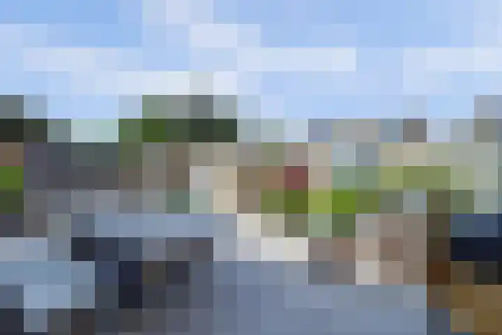 Bleijenburg 170 De Lier thumbnail 32
