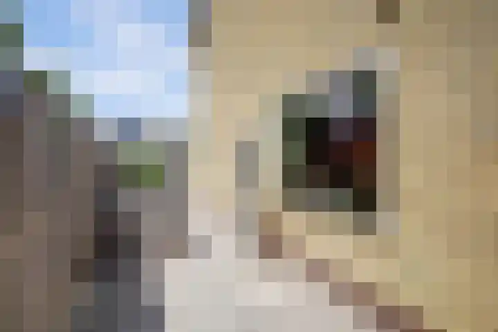 Bleijenburg 170 De Lier thumbnail 35