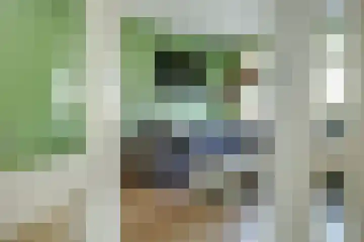 Bleijenburg 170 De Lier thumbnail 7