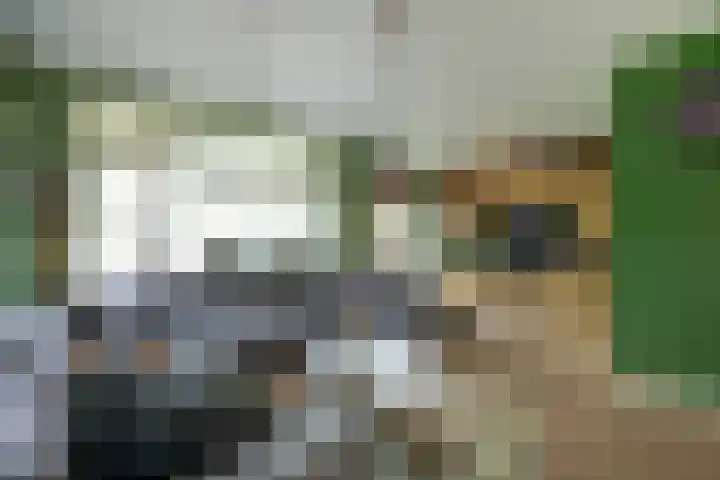 Bleijenburg 170 De Lier thumbnail 8