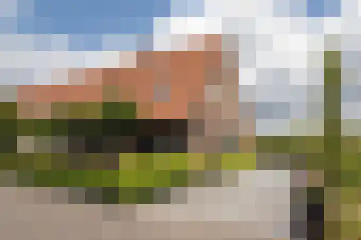 Blekemeer 20 in Uddel