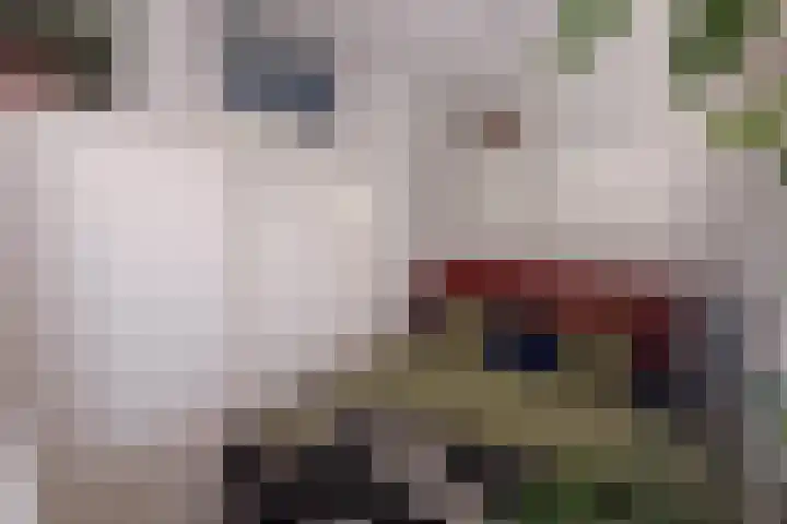 Blekerhof 26 Delft thumbnail 14