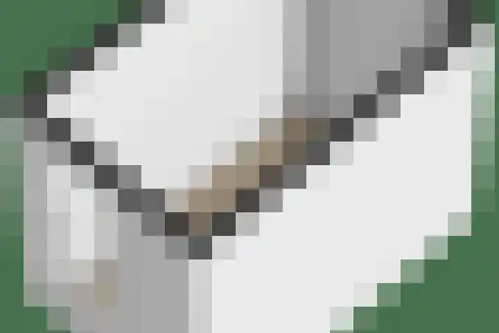 Blekerhof 26 Delft thumbnail 21