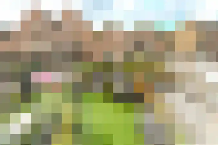 Blekerslaan 43 Rijswijk thumbnail 40