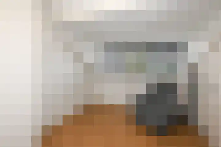 Blekerslaan 43 Rijswijk thumbnail 49