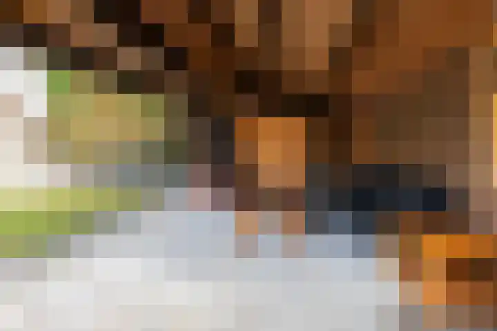 Blekerssingel 1 c Gouda thumbnail 6