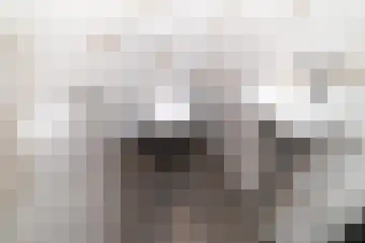 Blekerssingel 1 c Gouda thumbnail 7