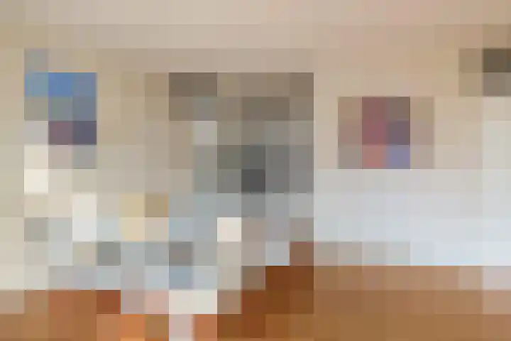 Blekerssingel 42 Gouda thumbnail 16