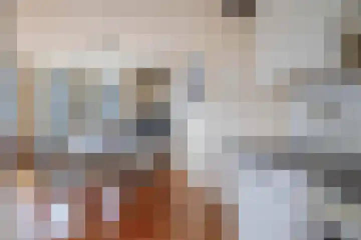 Blekerssingel 42 Gouda thumbnail 18