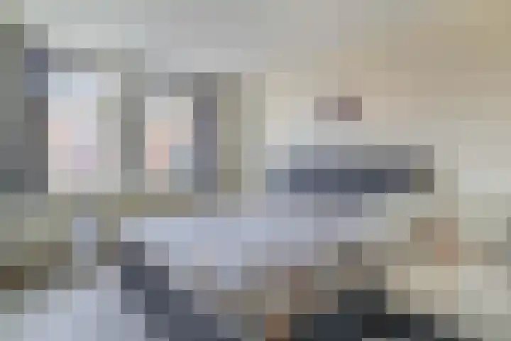 Blekerssingel 42 Gouda thumbnail 20