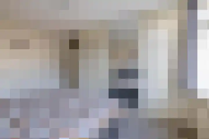 Blekerssingel 42 Gouda thumbnail 21