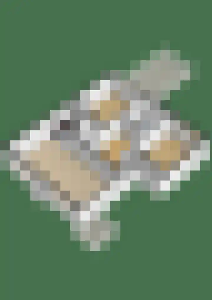 Blekerssingel 42 Gouda thumbnail 36