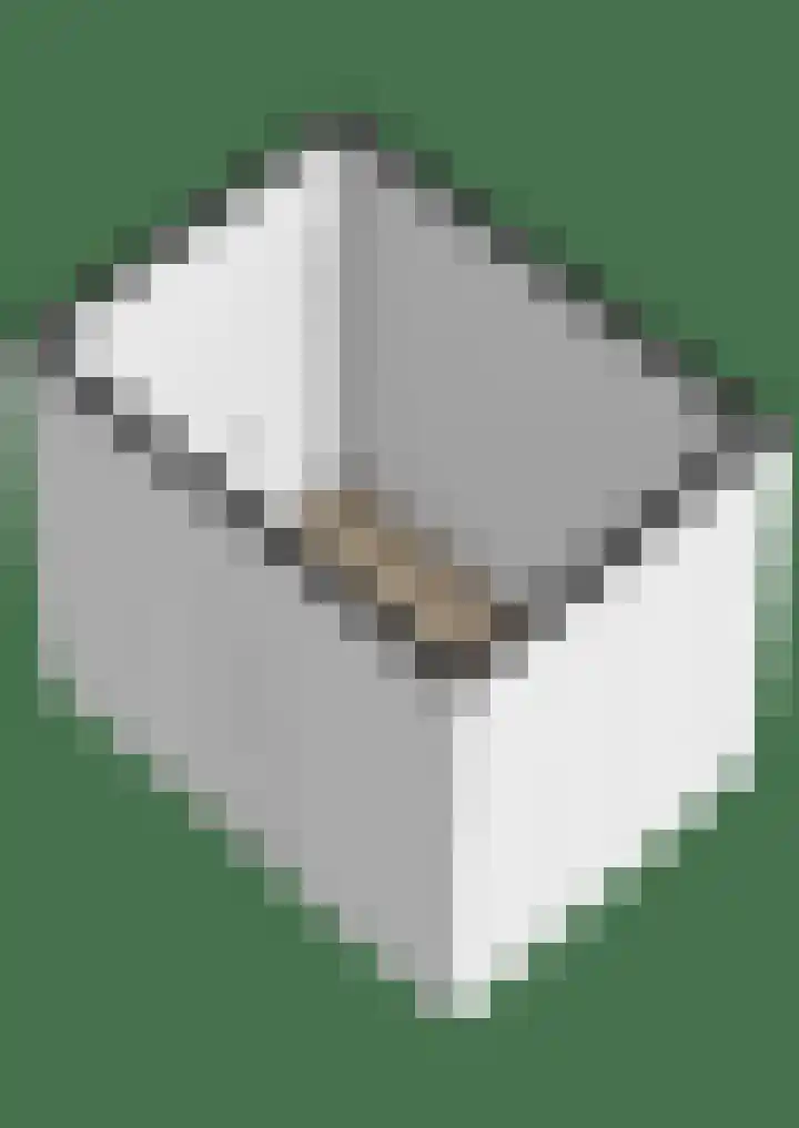Blekerssingel 42 Gouda thumbnail 38