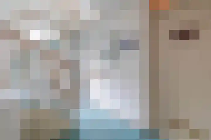 Blekerssingel 42 Gouda thumbnail 7