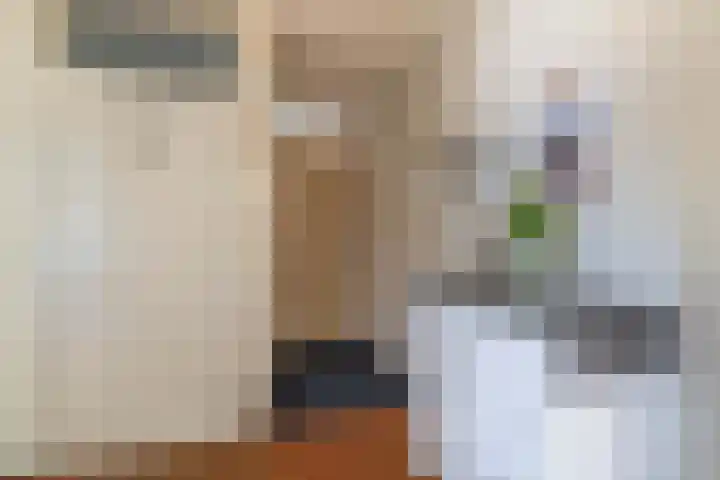 Blekerssingel 42 Gouda thumbnail 9