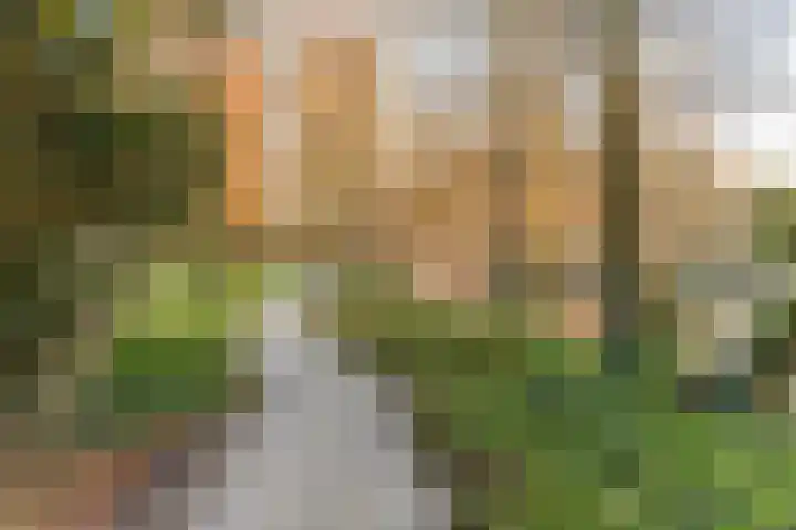 Blekerssingel 71 Amersfoort thumbnail 32