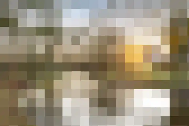 Blekerssingel 71 Amersfoort thumbnail 35