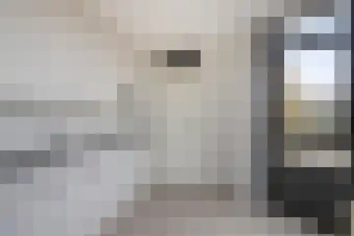 Blekerssingel 75 Amersfoort thumbnail 11
