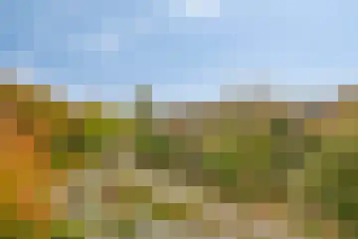 Blekerssingel 75 Amersfoort thumbnail 21