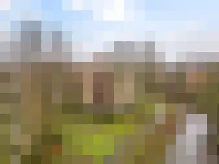 Blekerssingel 75 Amersfoort thumbnail 22