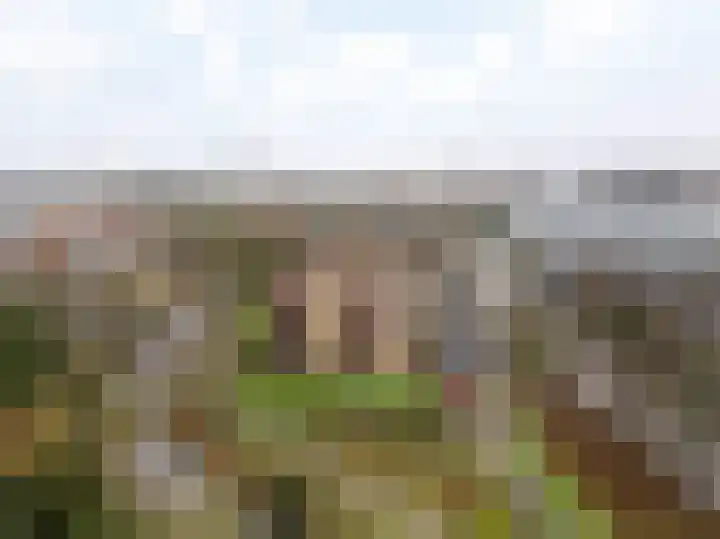 Blekerssingel 75 Amersfoort thumbnail 23