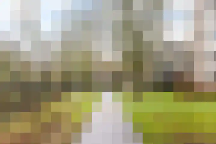 Blekerssingel 75 Amersfoort thumbnail 25