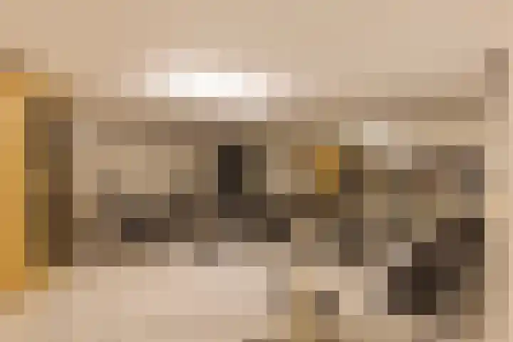 Blekersweg 15 Epe thumbnail 32