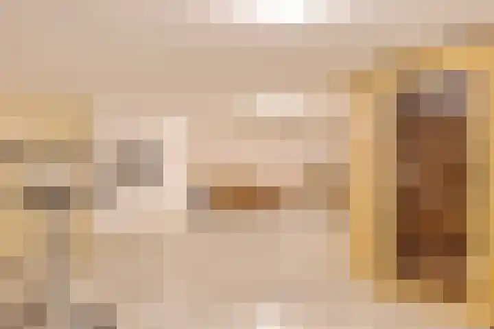 Blekersweg 15 Epe thumbnail 33