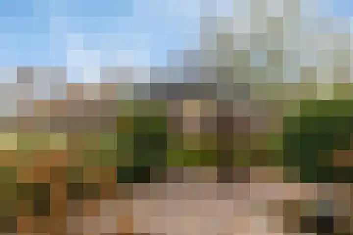 Blekersweg 15 Epe thumbnail 54