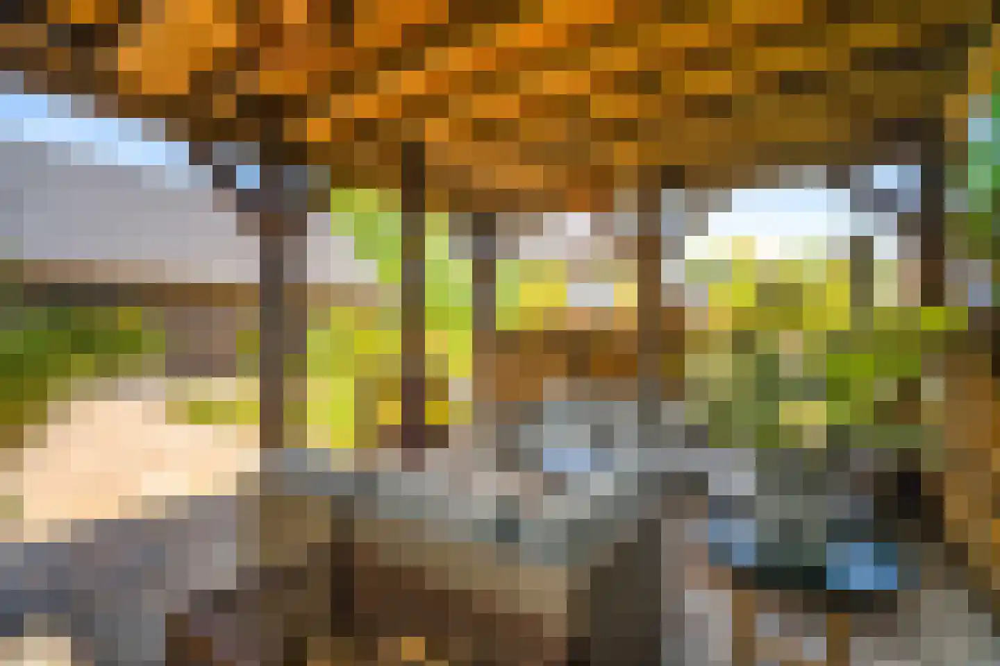 Blenkert 16 Roggel thumbnail 10