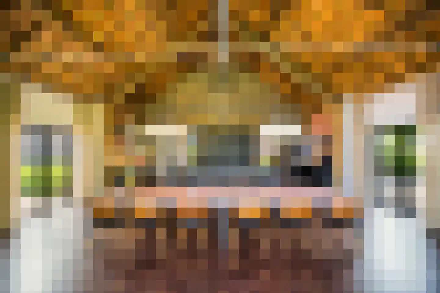 Blenkert 16 Roggel thumbnail 6