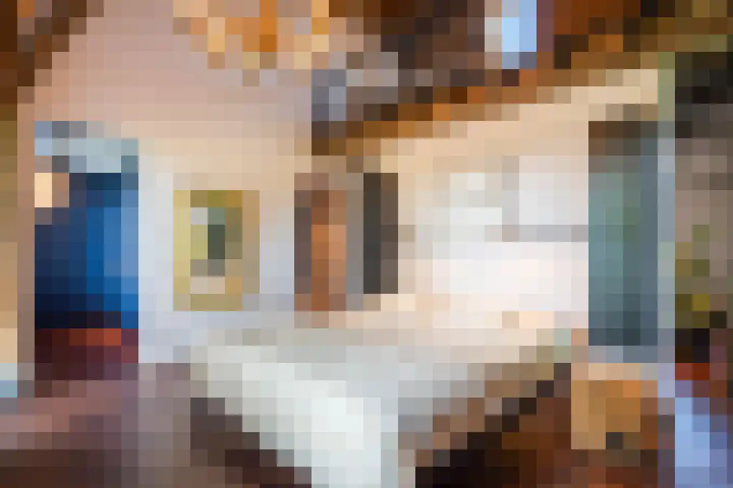 Blenkert 16 Roggel thumbnail 8