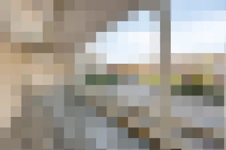 Blesdijk 12 Den Ham thumbnail 10