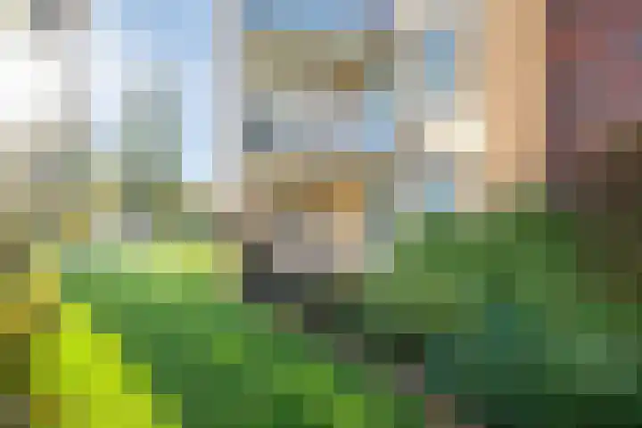 Blesdijk 12 Den Ham thumbnail 46