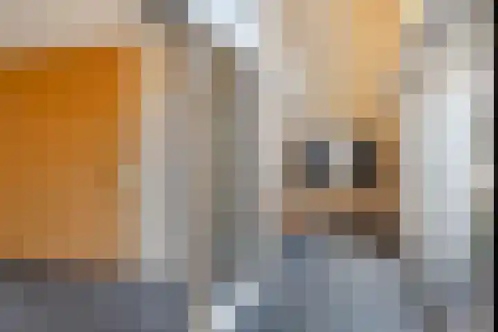 Blesdijk 12 Den Ham thumbnail 9